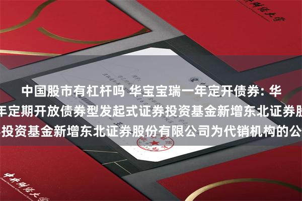 中国股市有杠杆吗 华宝宝瑞一年定开债券: 华宝基金关于华宝宝瑞一年定期开放债券型发起式证券投资基金新增东北证券股份有限公司为代销机构的公告