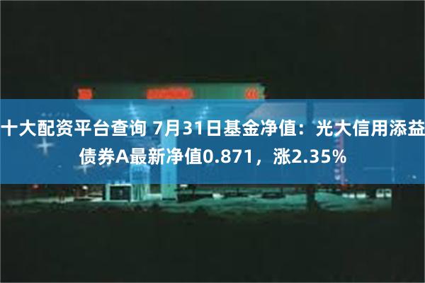 十大配资平台查询 7月31日基金净值：光大信用添益债券A最新净值0.871，涨2.35%