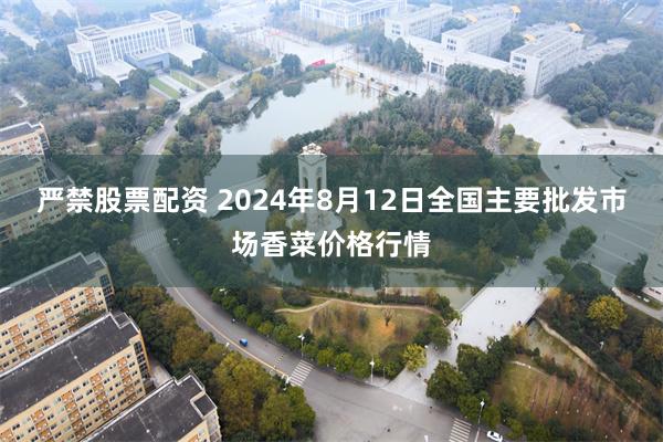 严禁股票配资 2024年8月12日全国主要批发市场香菜价格行情