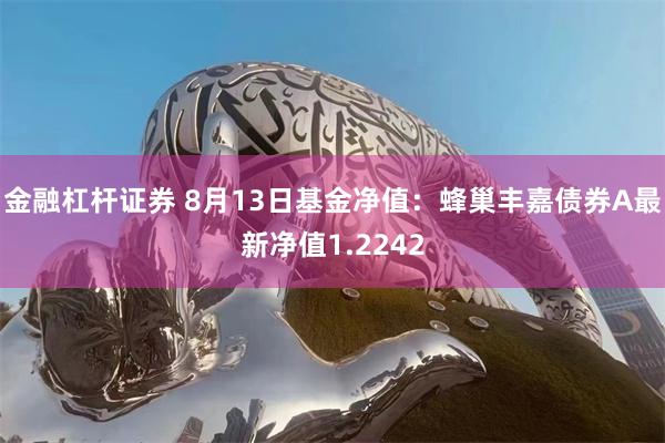 金融杠杆证券 8月13日基金净值：蜂巢丰嘉债券A最新净值1.2242