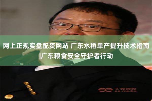 网上正规实盘配资网站 广东水稻单产提升技术指南|广东粮食安全守护者行动