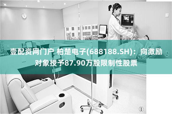 壹配资网门户 柏楚电子(688188.SH)：向激励对象授予87.90万股限制性股票