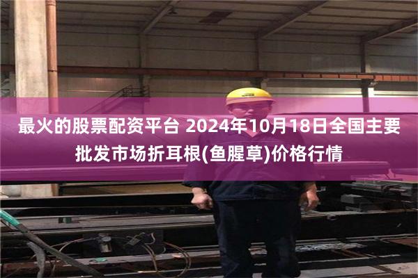 最火的股票配资平台 2024年10月18日全国主要批发市场折耳根(鱼腥草)价格行情