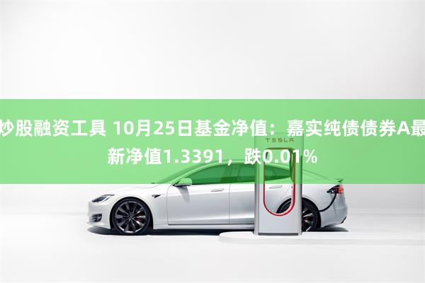 炒股融资工具 10月25日基金净值：嘉实纯债债券A最新净值1.3391，跌0.01%