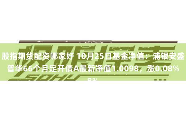 股指期货配资哪家好 10月25日基金净值：浦银安盛普华66个月定开债A最新净值1.0098，涨0.08%