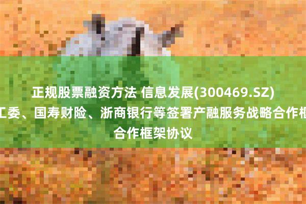 正规股票融资方法 信息发展(300469.SZ)：与科工委、国寿财险、浙商银行等签署产融服务战略合作框架协议