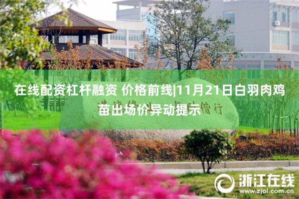 在线配资杠杆融资 价格前线|11月21日白羽肉鸡苗出场价异动提示