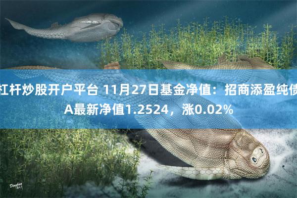 杠杆炒股开户平台 11月27日基金净值：招商添盈纯债A最新净值1.2524，涨0.02%