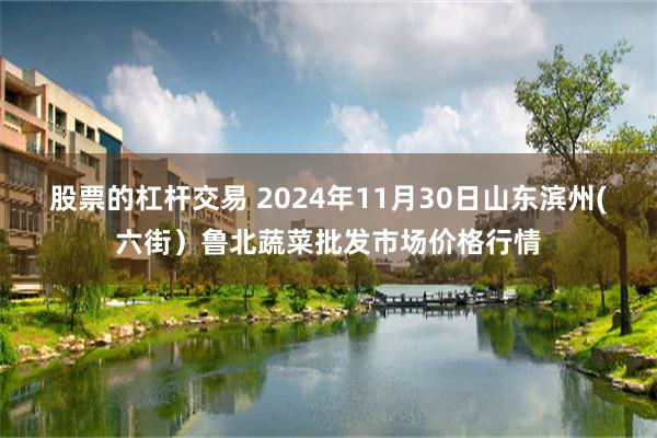 股票的杠杆交易 2024年11月30日山东滨州(六街）鲁北蔬菜批发市场价格行情