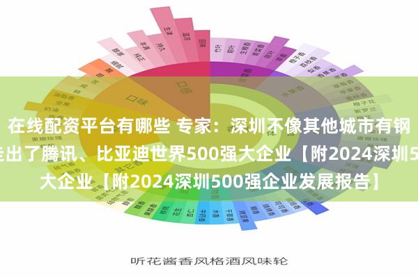 在线配资平台有哪些 专家：深圳不像其他城市有钢铁等传统产业，却走出了腾讯、比亚迪世界500强大企业【附2024深圳500强企业发展报告】