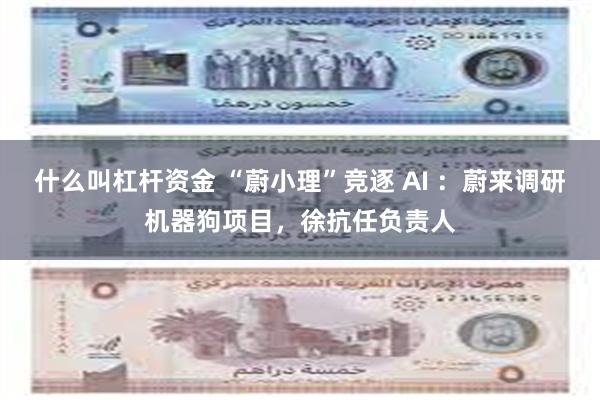 什么叫杠杆资金 “蔚小理”竞逐 AI ：蔚来调研机器狗项目，徐抗任负责人