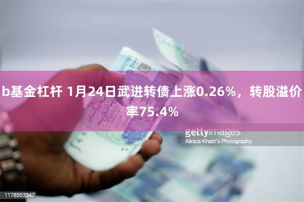 b基金杠杆 1月24日武进转债上涨0.26%，转股溢价率75.4%