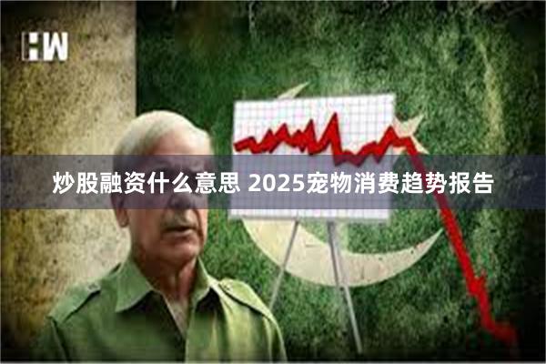 炒股融资什么意思 2025宠物消费趋势报告