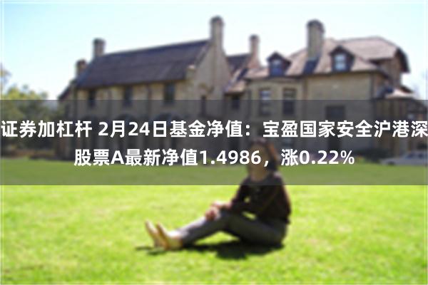 证券加杠杆 2月24日基金净值：宝盈国家安全沪港深股票A最新净值1.4986，涨0.22%